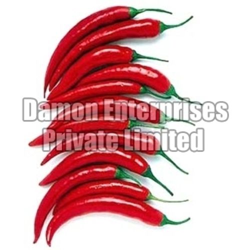 Hot Spicy Natural Taste No Artificial Color Organic Fresh Red Chilli