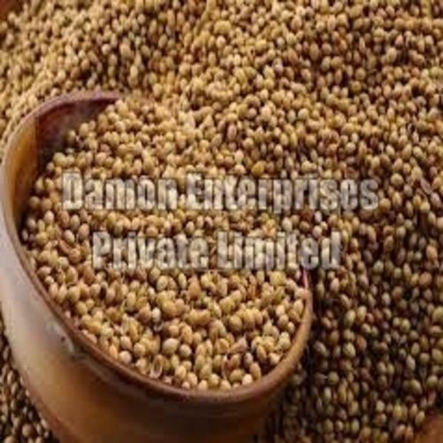 Coriander Seeds - Dried Organic Spice Seeds | Pesticide Free, Long Shelf Life, Natural Taste, Safe Packaging