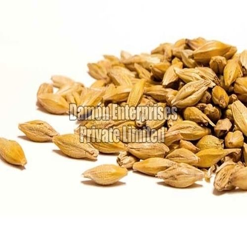 Long Shelf Life Natural Taste Chemical Free Dried Brown Barley Seeds