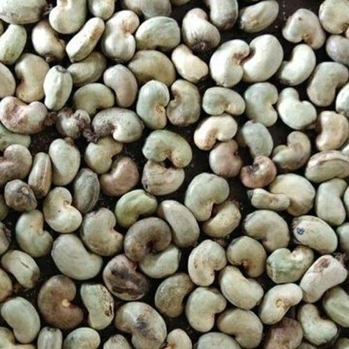 Great Source Of Antioxidant And High Dietary Fiber Reesh Raw Cashew Nuts
