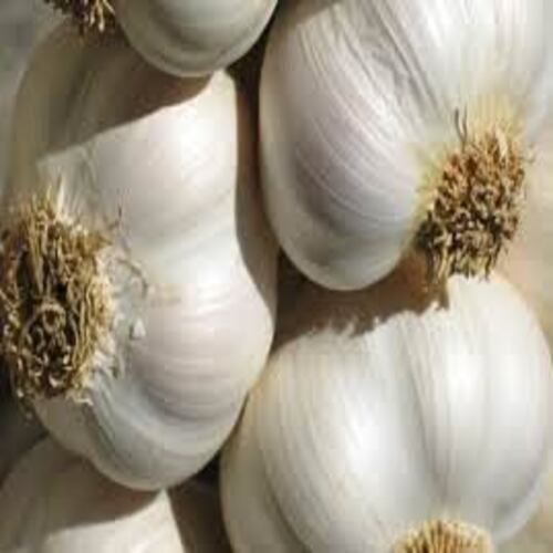 No Artificial Color Chemical Free Natural Rich Taste Healthy White Fresh Garlic