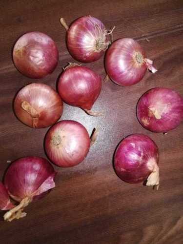 Yellow Organic Onions 