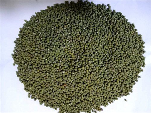 100% Pure Natural And Organic Cultivated Healthy Black Moong Dal