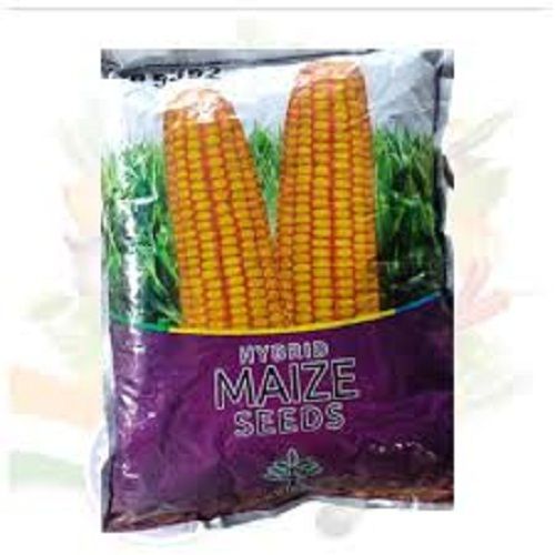 A Grade 100% Natural And Organic Hybrid Maize Seeds, 1 Kg Pack
