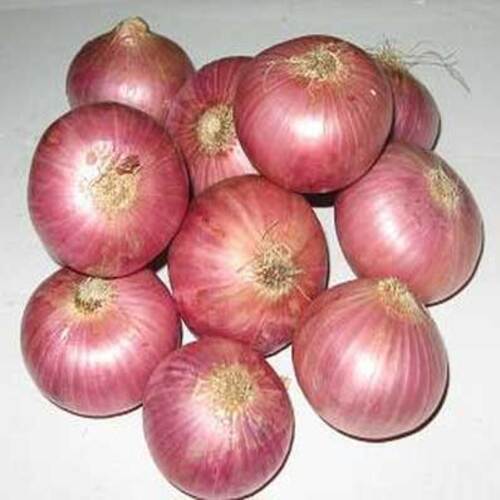 Fresh Onion - Solid Red Color, Round & Oval Shape | Enhance Flavor, Natural Taste, Chemical Free