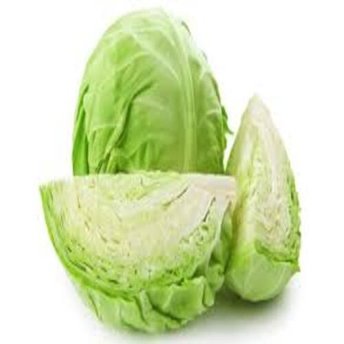 Floury Texture Healthy Rich Natural Fine Taste Green Organic Fresh Cabbage