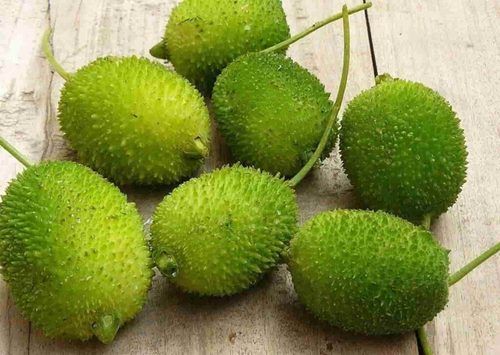 Light Green Fresh Spiny Gourd With Rich Source Of Antioxidants And Flavonoids