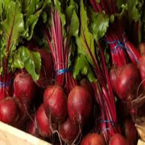 Round & Oval Maturity 100 Percent Natural Rich Fine Taste Chemical Free Healthy Red Fresh Beetroot