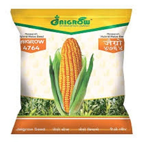Natural And Organic Aigrow Research 4764 Hybrid Maize Seeds, 4 Kg