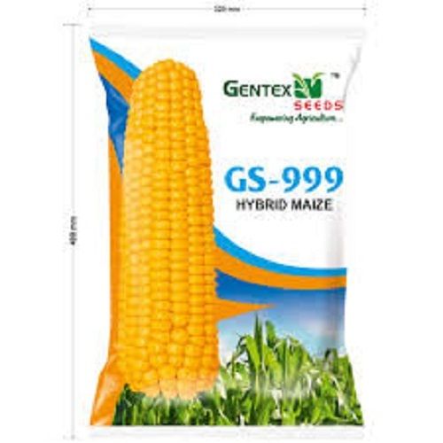 Natural And Organic Gentex Seeds Gs 999 Hybrid Maize, 1 Kg Pack