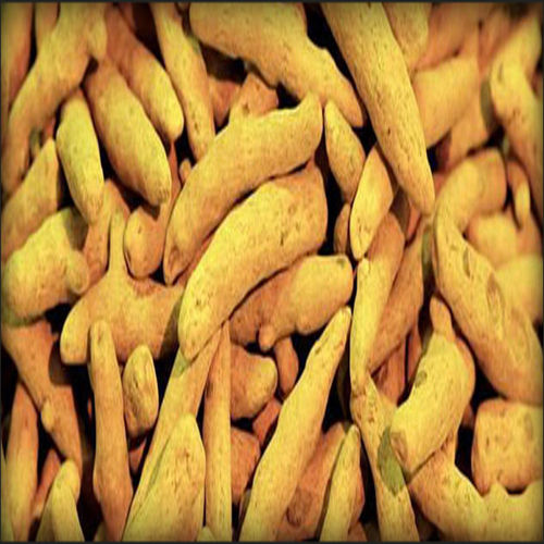 Antioxidant Chemical Free Rich Natural Taste Healthy Dried Yellow Turmeric Finger