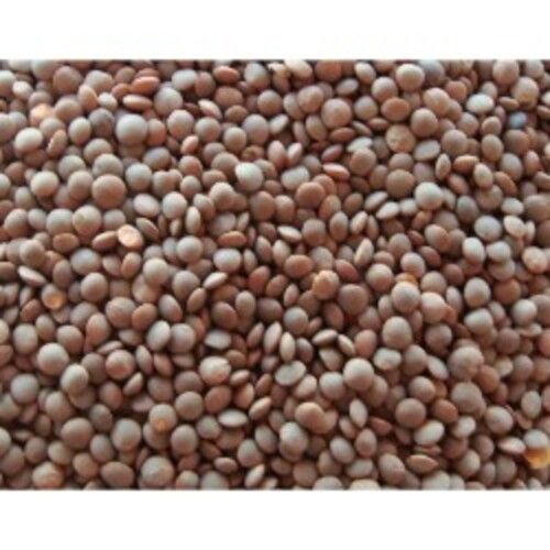 High Protein Rich Natural Taste Easy to Cook Dried Brown Lentil