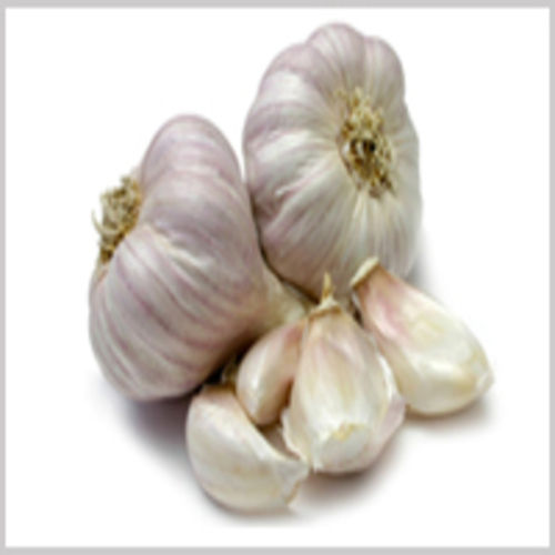 No Artificial Color Chemical Free Natural Rich Taste Healthy White Garlic