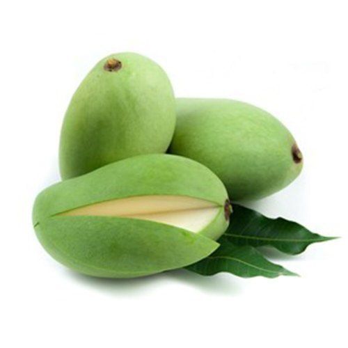 Wholesale Price Export Quality Natural Fresh Raw Green Mango