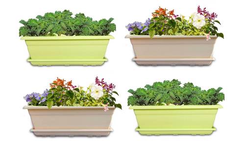 19.3"x8.1" Designer Box Planter With Bottom Tray