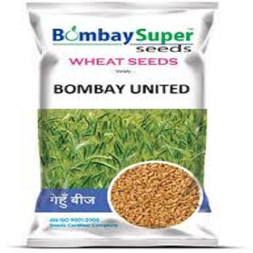 99% Purity Agricultural Whole Wheat Seeds(1.8% Minerals And 2.2% Harsh Fibers) Admixture (%): 9%