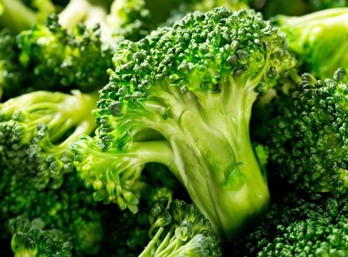 100% Natural Fresh Broccoli Seeds For Sprouting Seeds Shelf Life: 7 Days