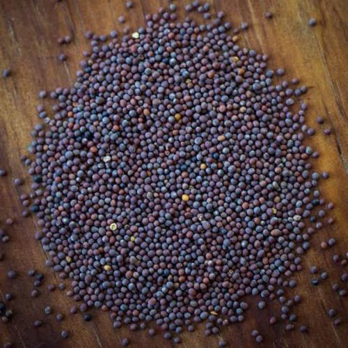 100% Pure And Organic Black Mustard Seed Without Added Color