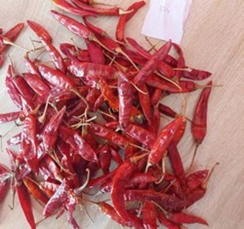 Dry Premium And Supreme Quality Spicy Red Chilli Flakes With High Nutritious