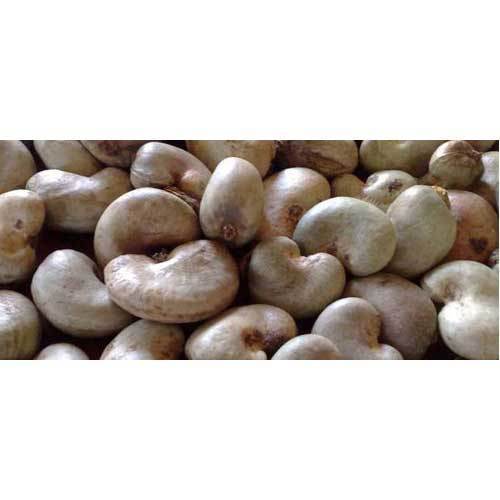 A Grade Premium And Pure Quality Organic Cashew Nut With Shell