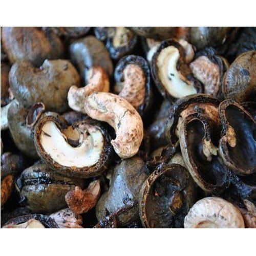 Indian Origin A Grade Fresh Natural Cashew Nuts Shell With High Nutritious Value