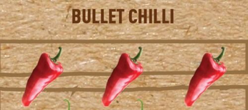 Pesticide-Free Organically Grown Fresh And Hygienic Red Bullet Chilli