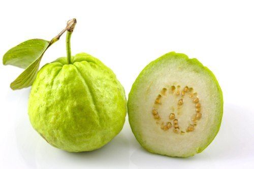 A Grade and Rich Taste Organic Green Guava With High Nutritional Value