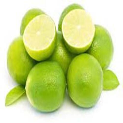 Round & Oval Easy To Digest Sour Natural Taste Healthy Green Fresh Lemon