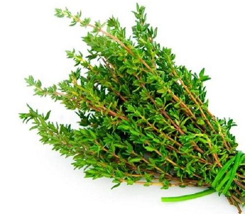 Health Friendly Pesticide-Free Organic And Fresh Green Thyme Leaves Grade: A Grade