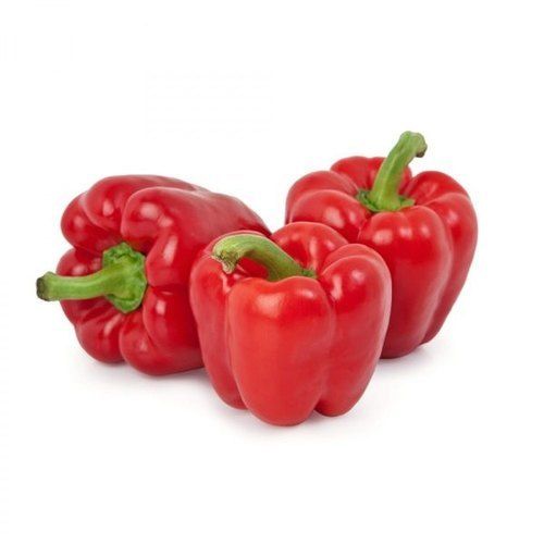 Round Indian Origin A Grade Red Color Capsicum With High Nutritious Values