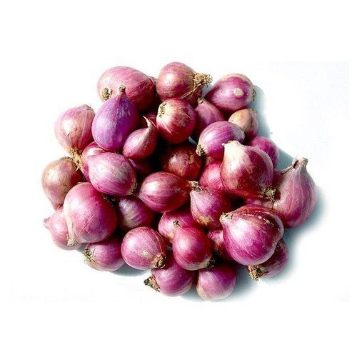 Indian Origin and Fresh A Grade Sambar Small Onion With High Nutritious Value