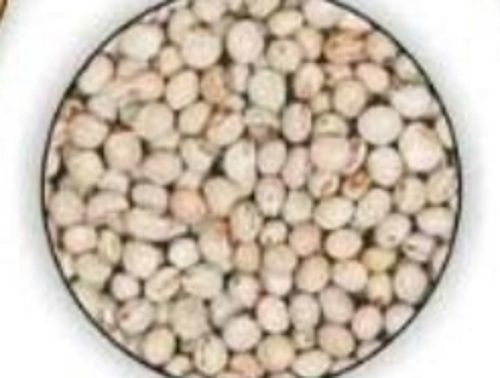 Brown 100% Natural And Organic White Color Chickpeas Without Added Color