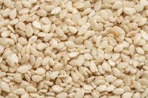 100% Natural Pure And Fresh Digestive And Healthy Nutritious White Sesame Seeds