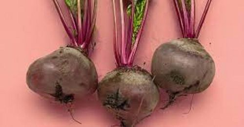 Farm Fresh Healthy Beetroot For Salad With Rich in Potassium, Vitamin C, Vitamin B6, and Folic Acid