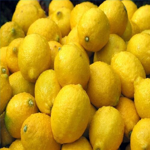 Sour Natural Taste Easy To Digest Healthy Fresh Yellow Lemon