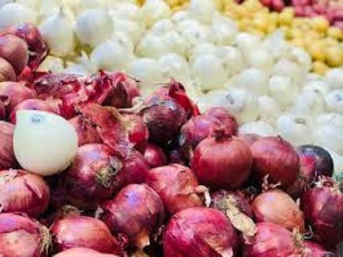 Wholesale Price Export Quality Onion For Vegetables