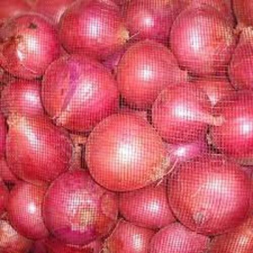 Round & Oval Enhance The Flavor Rich Healthy Natural Taste Fresh Red Onion