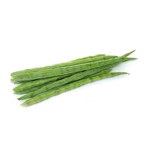 Export Quality Wholesale Price Natural Fresh Green Drumsticks For Vegetables
