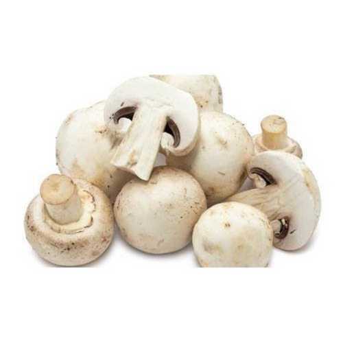 Fresh White Mushrooms For Cooking And Oil Extraction, No Preservatives