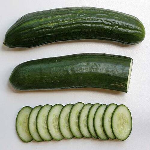 High Fiber Chemical Free Healthy Natural Rich Taste Green Fresh Cucumber