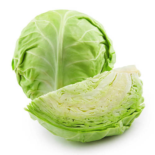 Flat Wholesale Price Export Quality Green Color Cabbage For Vegetables