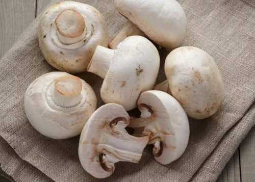 99% Maturity Healthy To Eat White Colour Fresh Mushroom, 22/100gms Calories