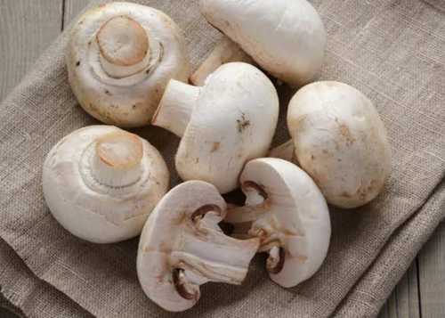 High In Vitamin 99% Maturity Healthy To Eat White Colour Fresh Mushroom, 22/100Gms Calories