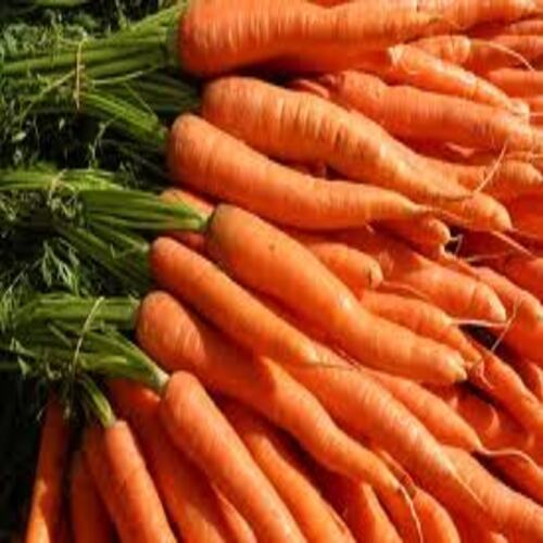 Chemical Free High Fiber Healthy Natural Rich Taste Orange Fresh Carrot