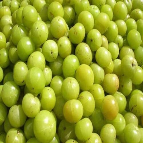 Easy to Digest Sour Natural Taste Healthy Green Fresh Amla