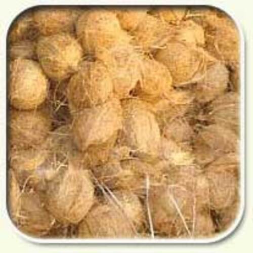 Free From Impurities Natural Rich Taste Healthy Brown Fresh Fully Husked Coconuts