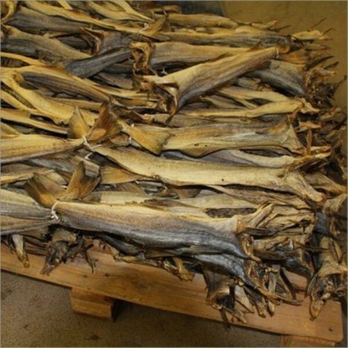 Good For Health Good In Taste Easy To Digest Rich In Protein Stock Dried Fish