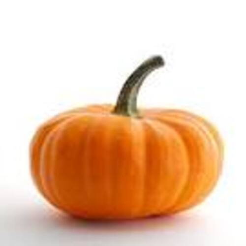 Fresh Pumpkin - Round & Oval, Solid Orange | Natural Taste, Chemical Free, Safe Packaging