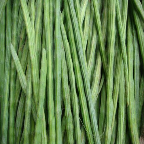 High Fiber No Artificial Color Healthy Natural Rich Taste Green Fresh Drumsticks