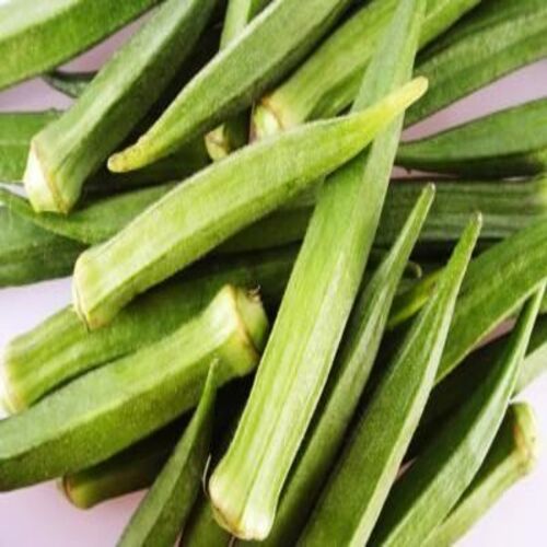 Maturity 100 Percent No Artificial Color Healthy Natural Rich Taste Green Fresh Okra